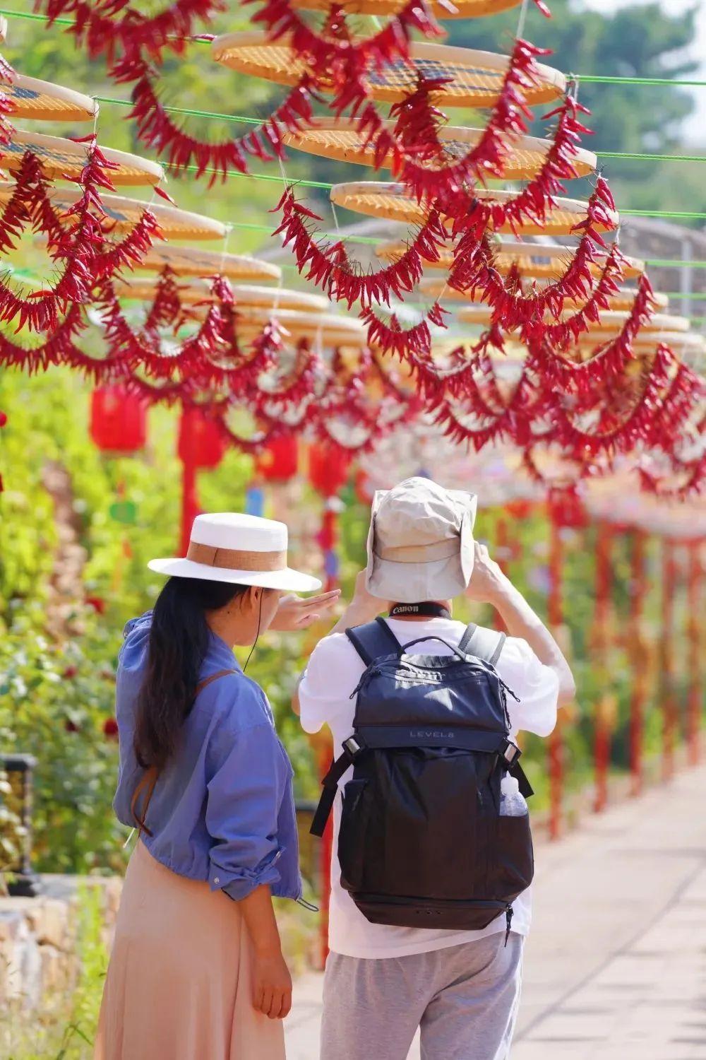 蓟州最新开发区招聘启事，与自然美景同行，寻找内心宁静之旅