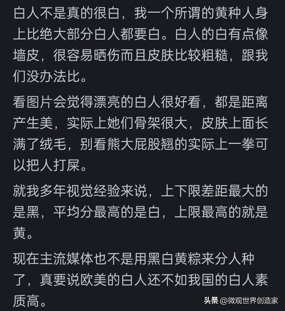 白橘默最新观点探讨，深度解析与反思