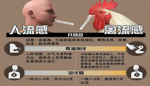 禽流感最新人数变化带来自信与成就感，鼓舞人心的消息汇总报告标题