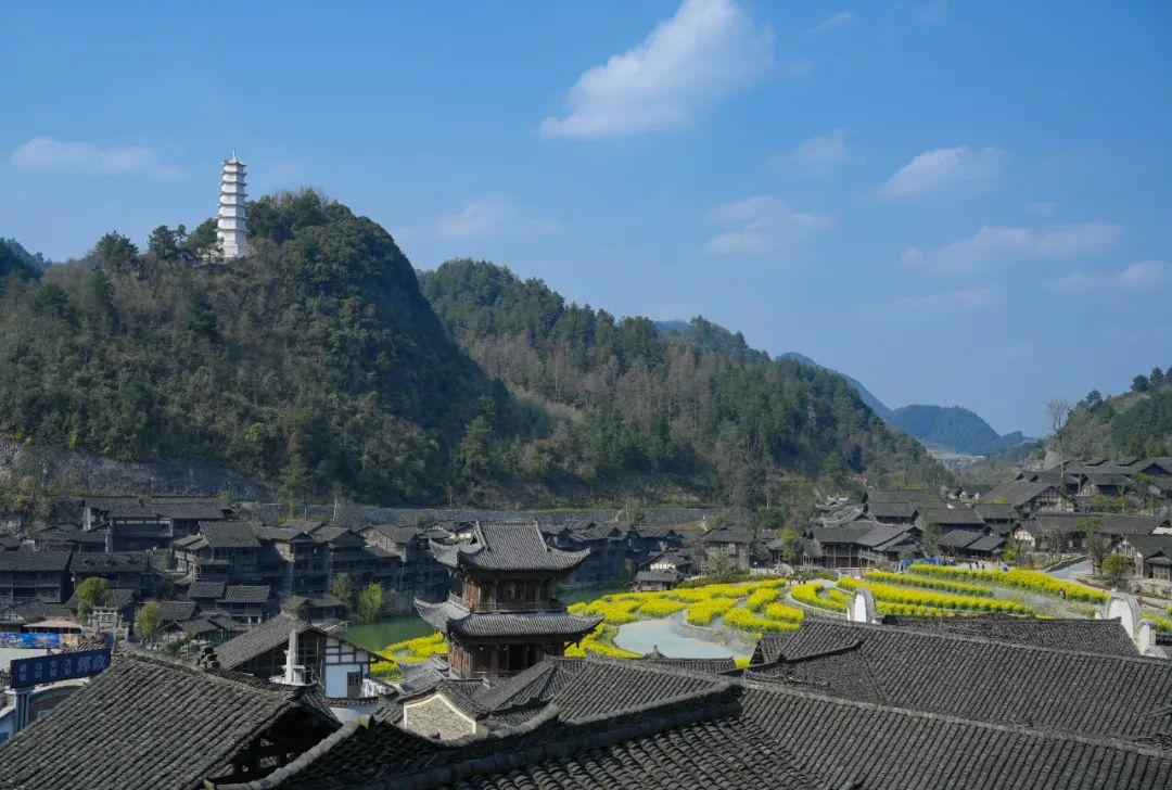 最新防疫手段,最新防疫手段，一场探索自然美景的轻松旅行