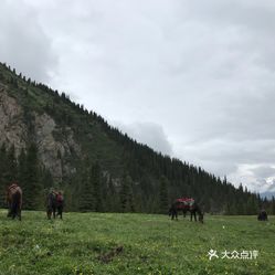 昭苏旅游最新探秘，巷弄深处的独特之旅