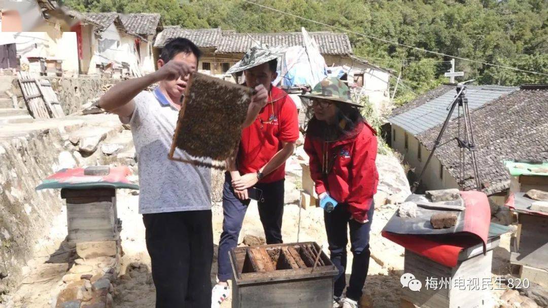 若羌疫情最新动态，小巷深处的特色小店