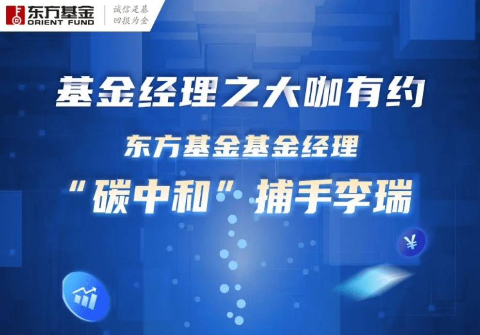 龙冰冰最新观点阐述，深度解读与分析