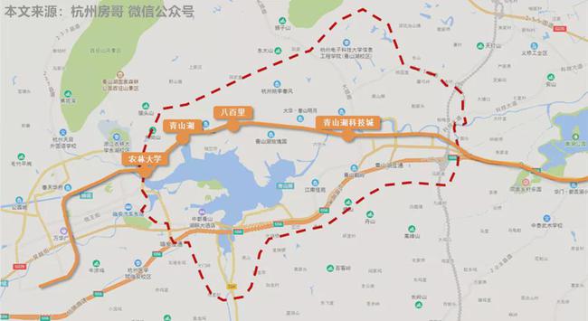 云南新鲜大蒜最新报价及市场走势与各方观点深度解析