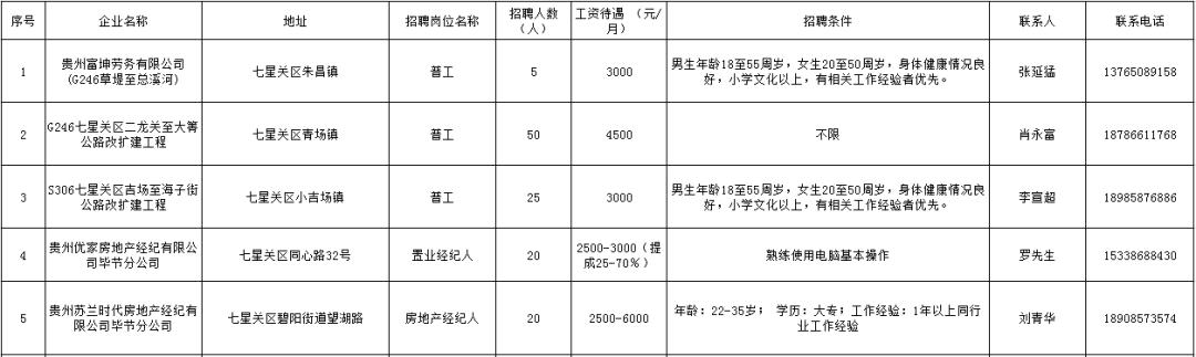 毕节七星关区最新招聘及其多元视角分析