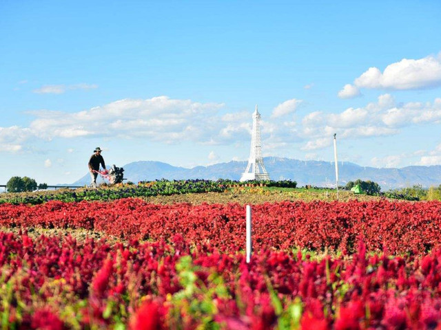 花语牧场最新图片，追溯背景，记录时代，彰显重要地位